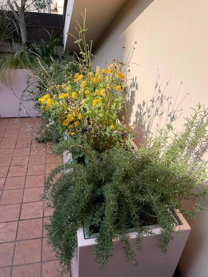 La Terrazza Sull'Arena Appartement Verona Buitenkant foto